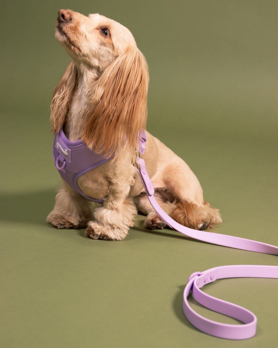 *pre - order* waterproof easy - clean leash - ube latte - bean goods