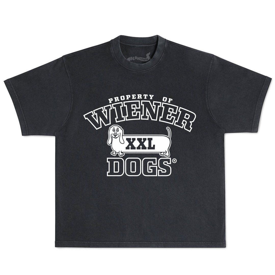 property of wiener dogs unisex boxy tee | midnight - bean goods