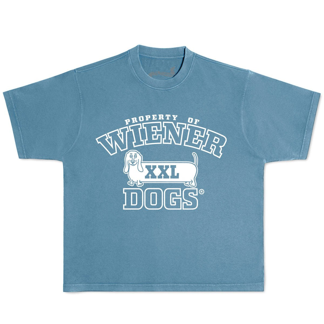 property of wiener dogs unisex boxy tee | ocean - bean goods