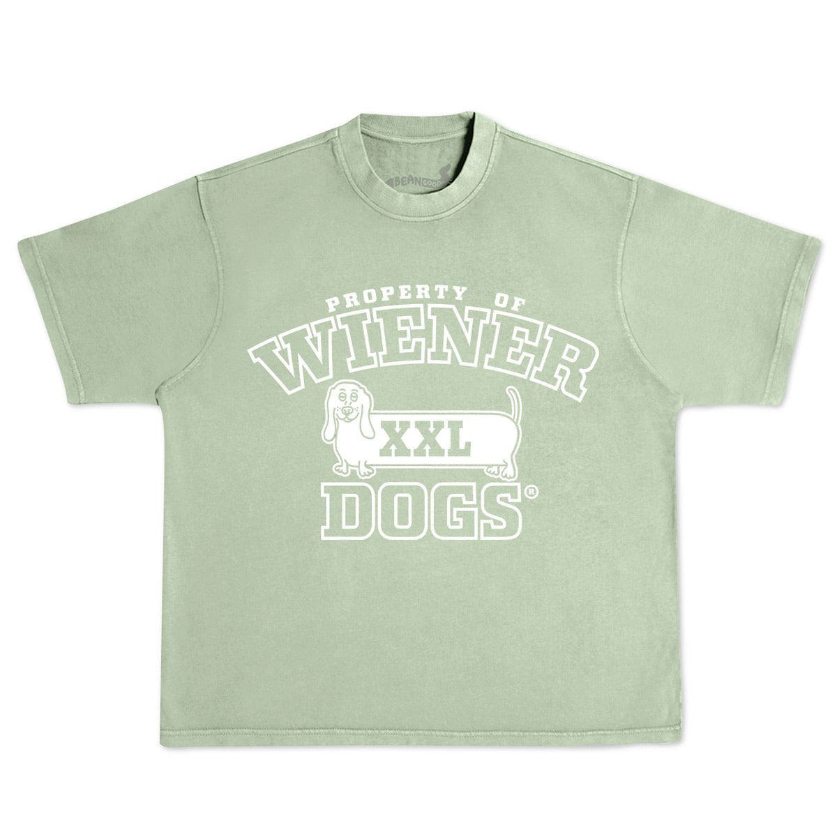 Dachshund T Shirts – bean goods