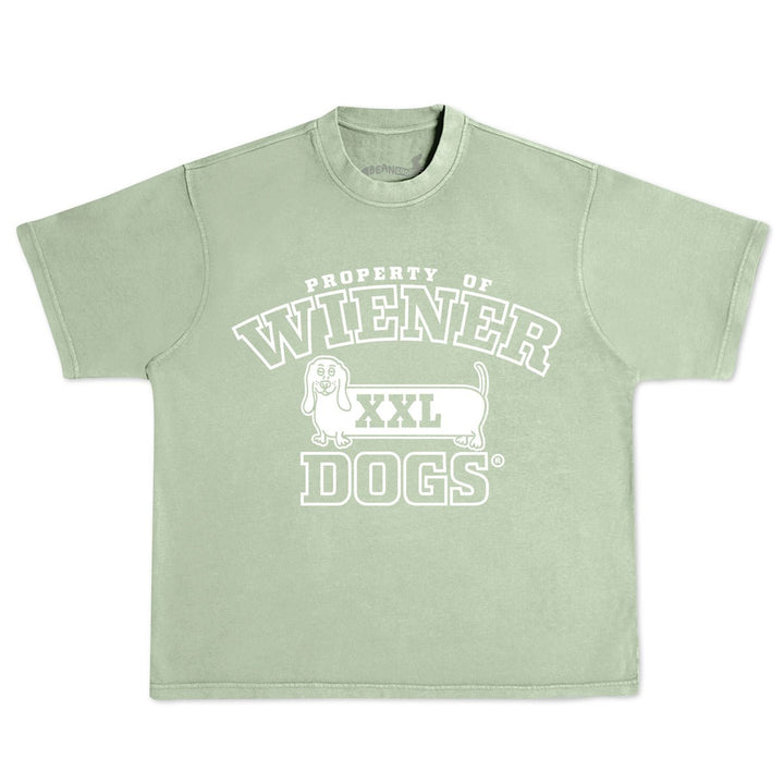 property of wiener dogs unisex boxy tee | sage - bean goods