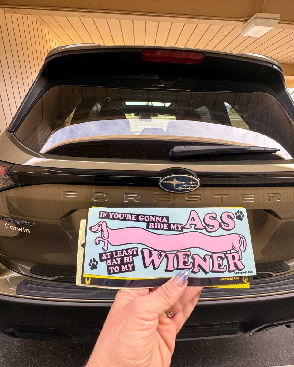 say hi bumper sticker - bean goods