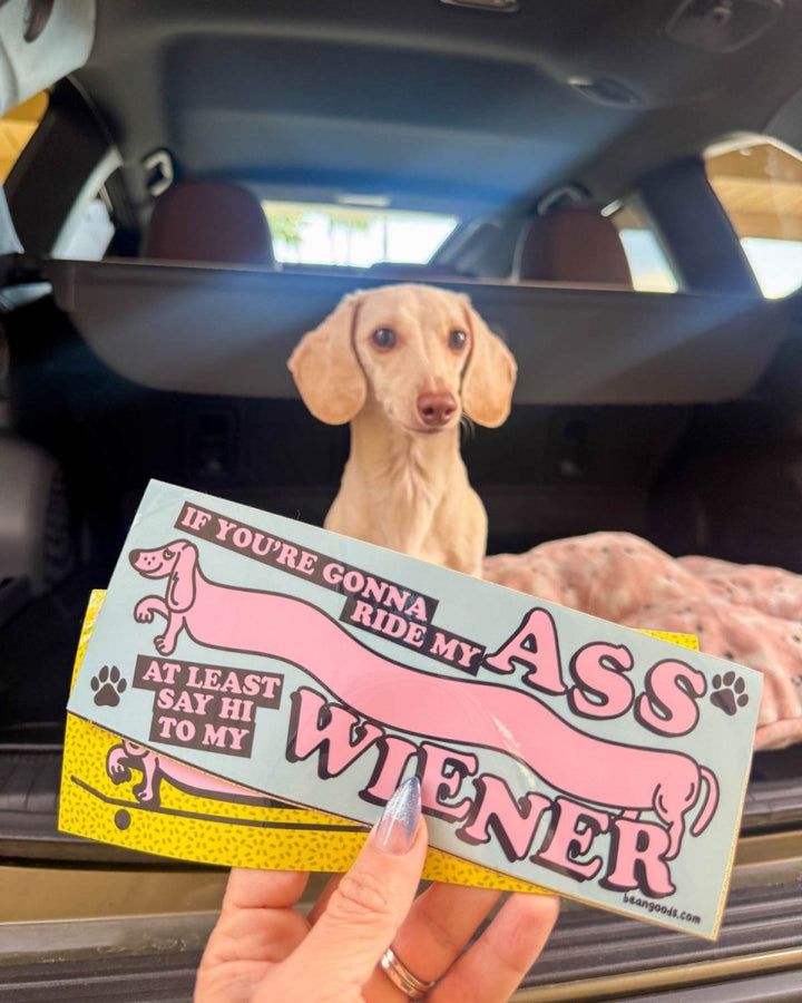 say hi bumper sticker - bean goods