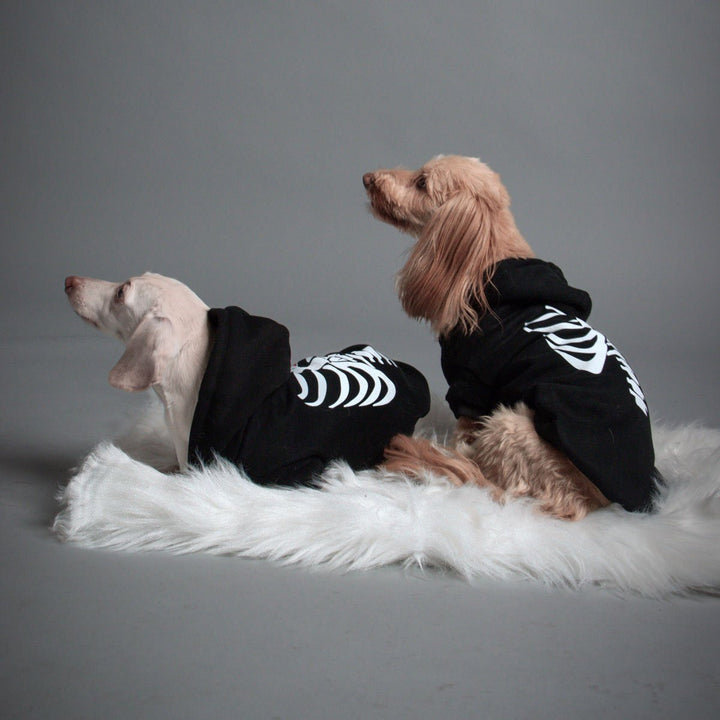 skeleween doxie hoodie - bean goods