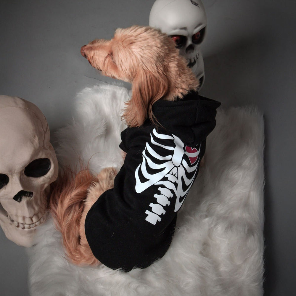 skeleween doxie hoodie - bean goods