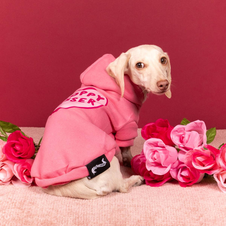 sloppy kisser doxie hoodie - bean goods