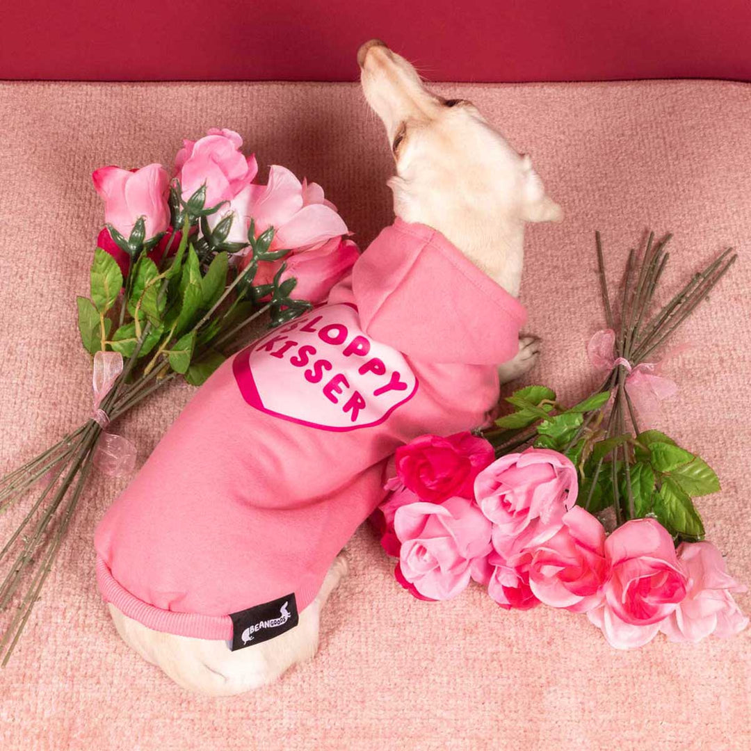 sloppy kisser doxie hoodie - bean goods