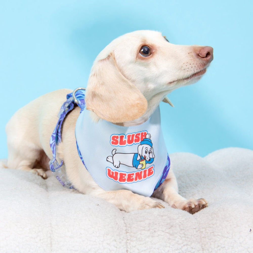 slush weenie bandana - bean goods