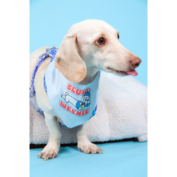 slush weenie bandana - bean goods