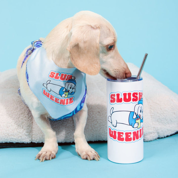 slush weenie tumbler - bean goods
