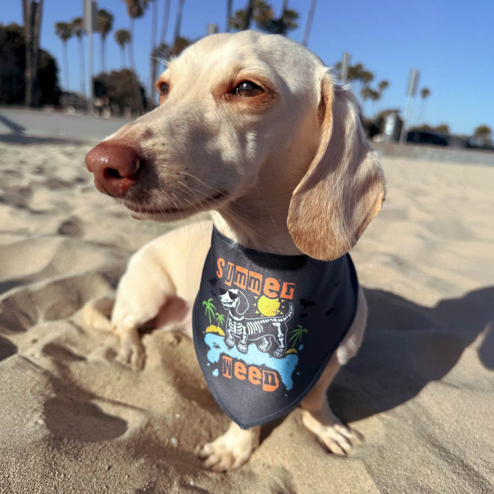 summerween bandana - bean goods