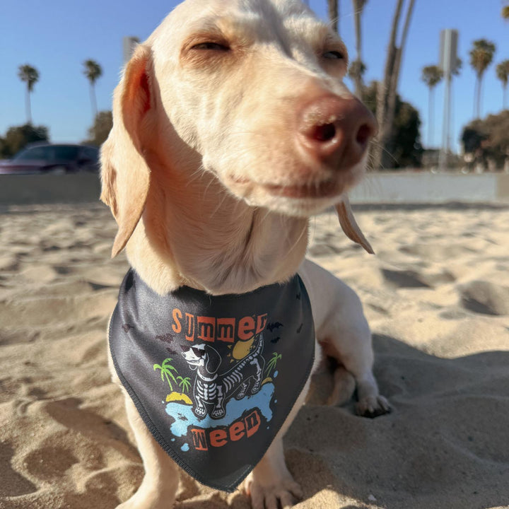 summerween bandana - bean goods