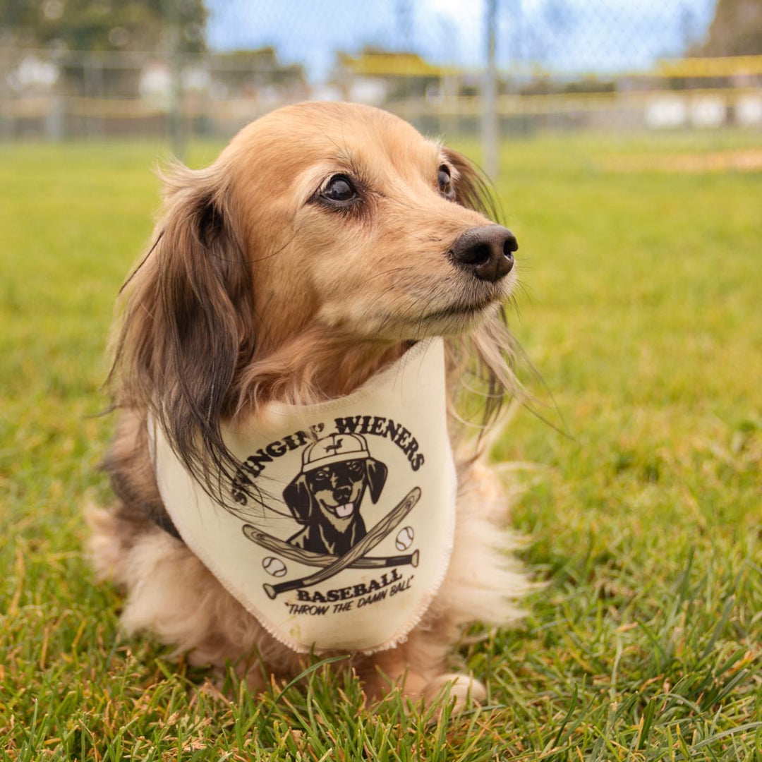 swingin’ wieners baseball club bandana - bean goods