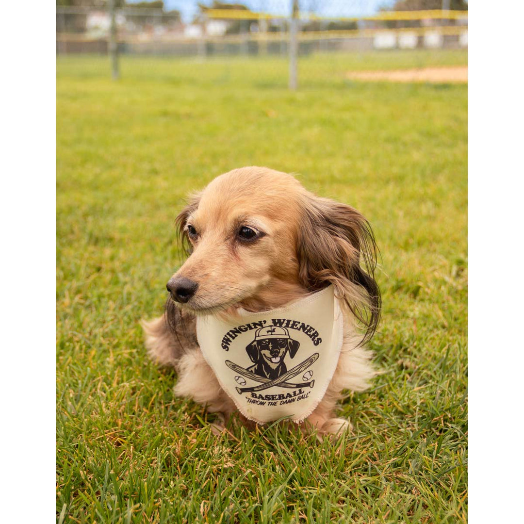 swingin’ wieners baseball club bandana - bean goods