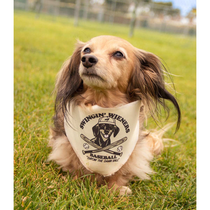 swingin’ wieners baseball club bandana - bean goods