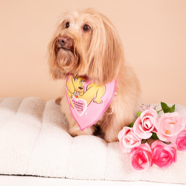 very demure dog bandana - bean goods