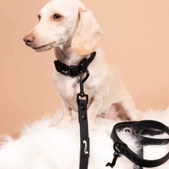 waterproof easy - clean collar | midnight - bean goods