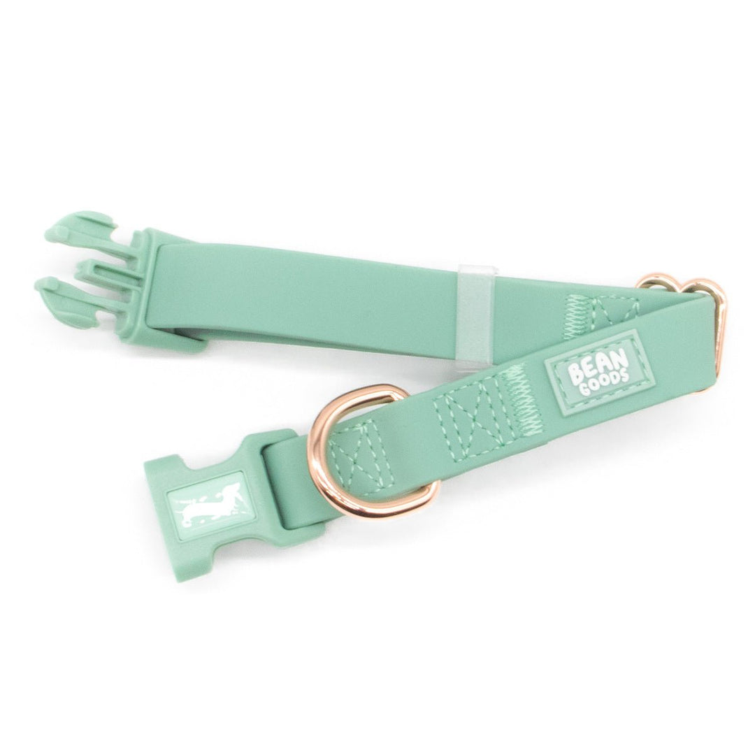 waterproof easy - clean collar | sage - bean goods