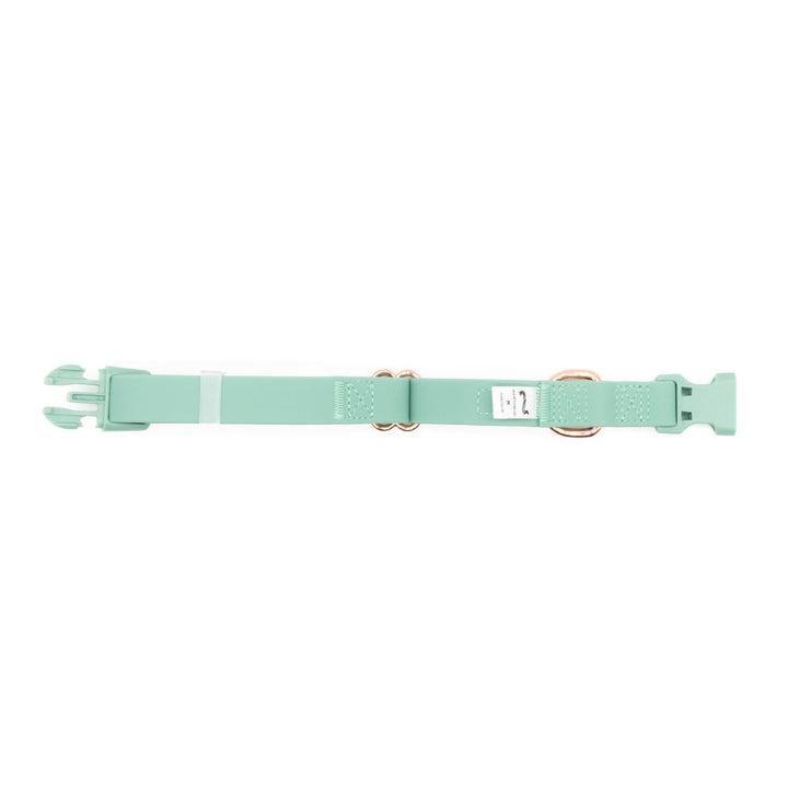waterproof easy - clean collar | sage - bean goods