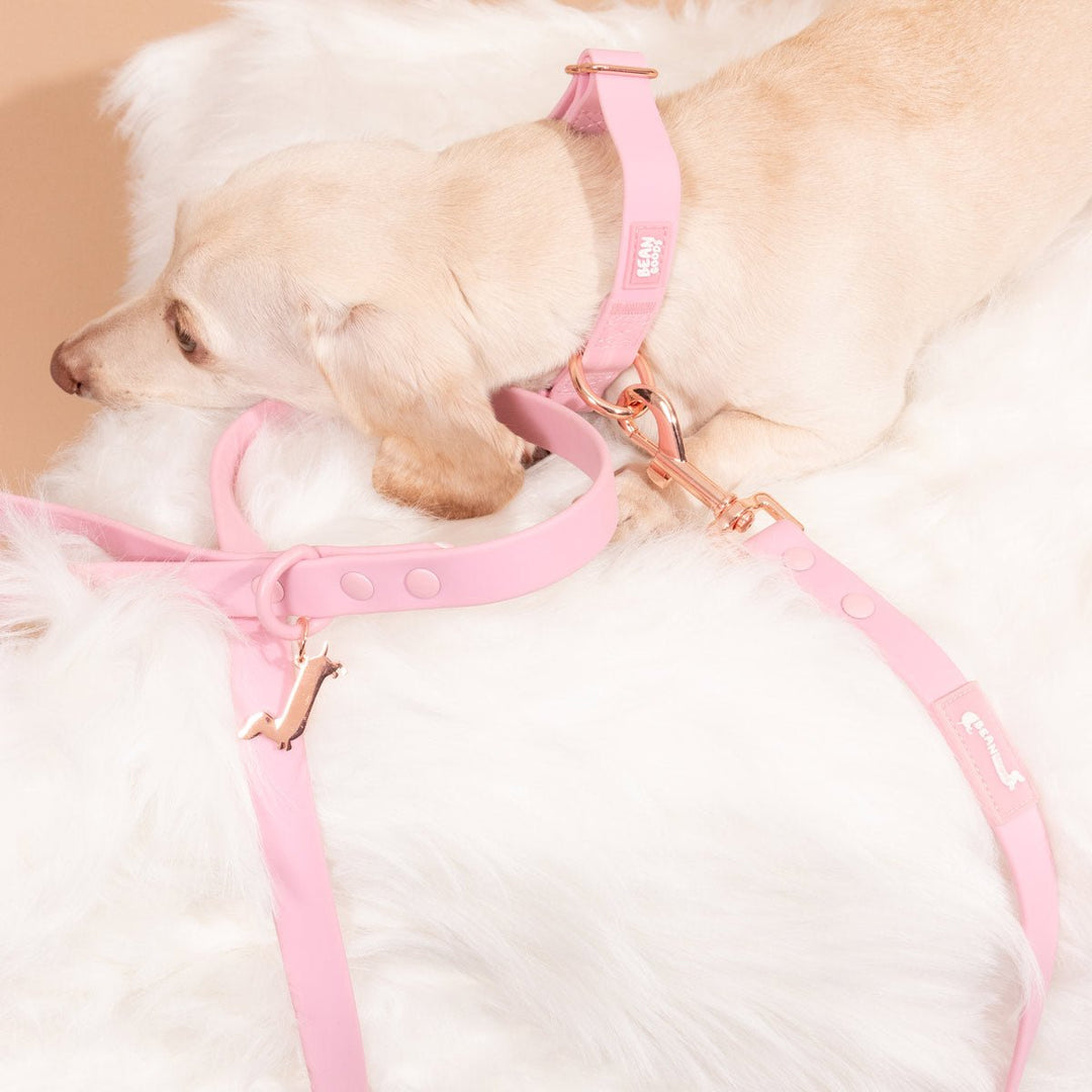 waterproof easy - clean collar | ween pink - bean goods