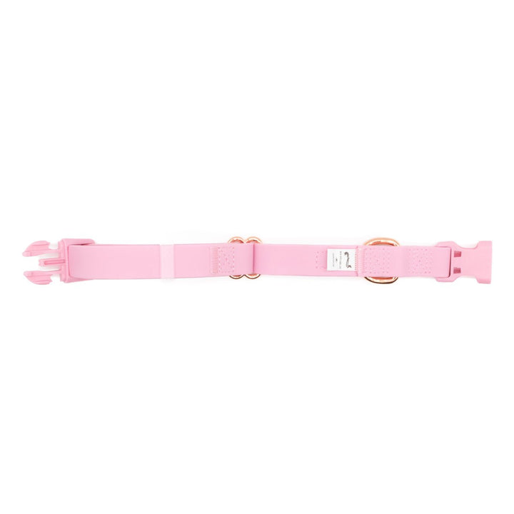 waterproof easy - clean collar | ween pink - bean goods