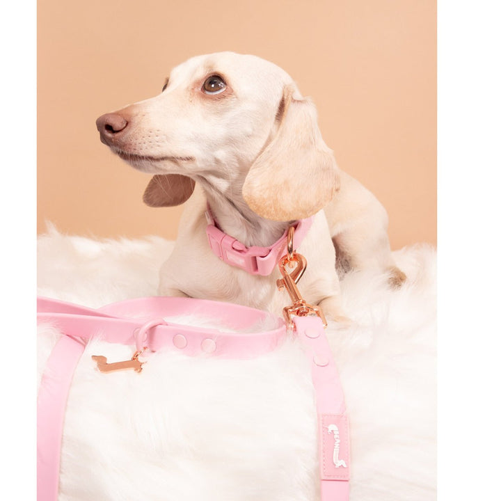 waterproof easy - clean collar | ween pink - bean goods