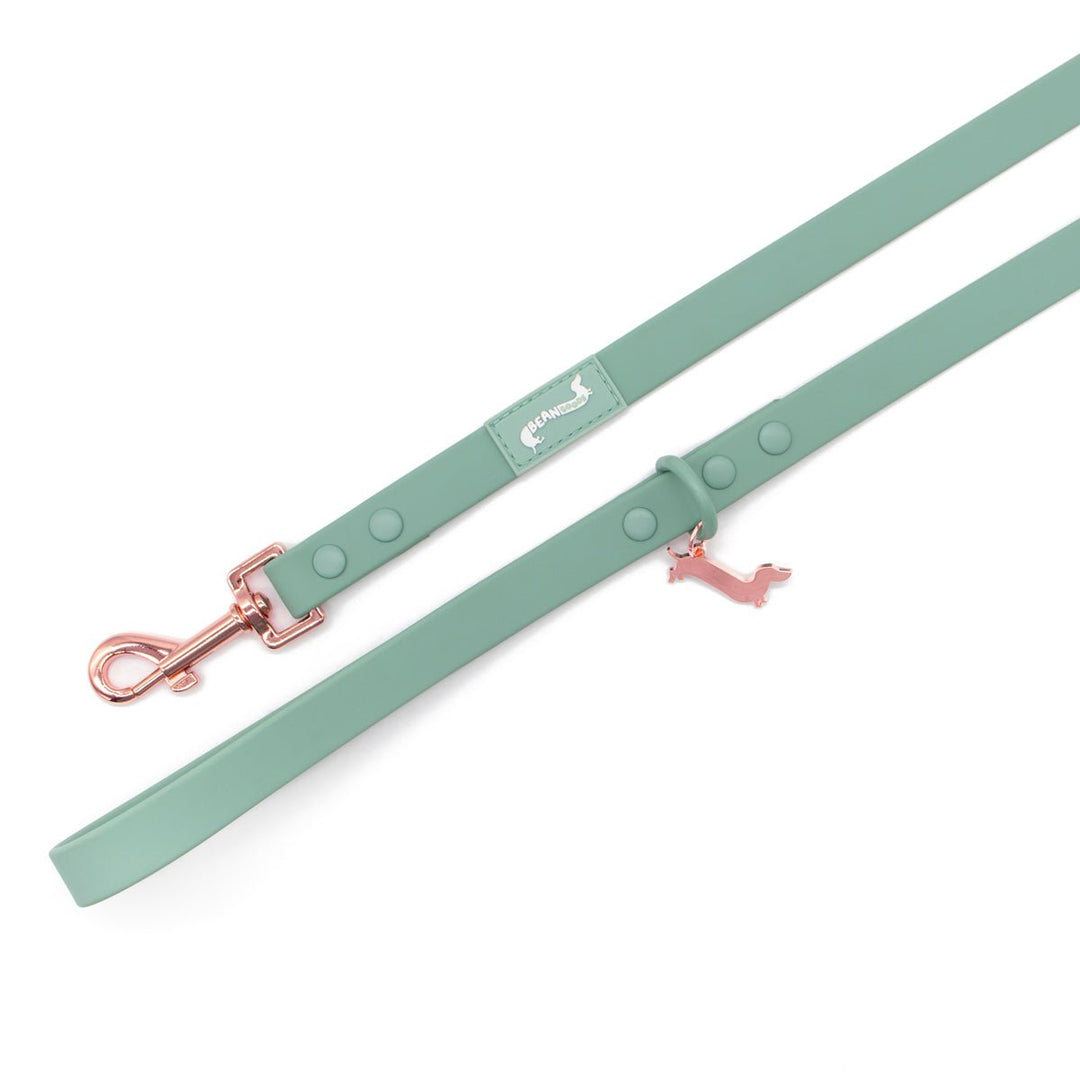 waterproof easy - clean leash - sage - bean goods