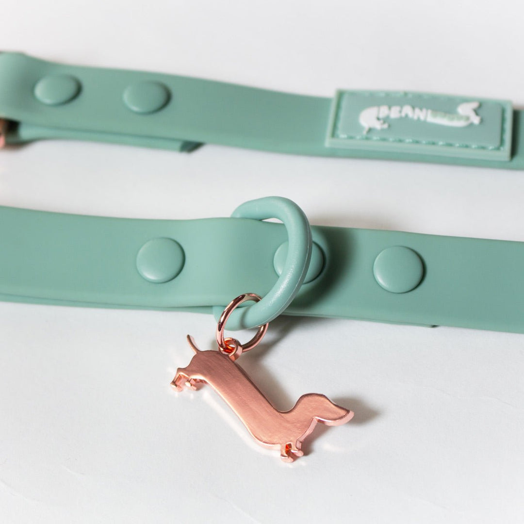 waterproof easy - clean leash - sage - bean goods