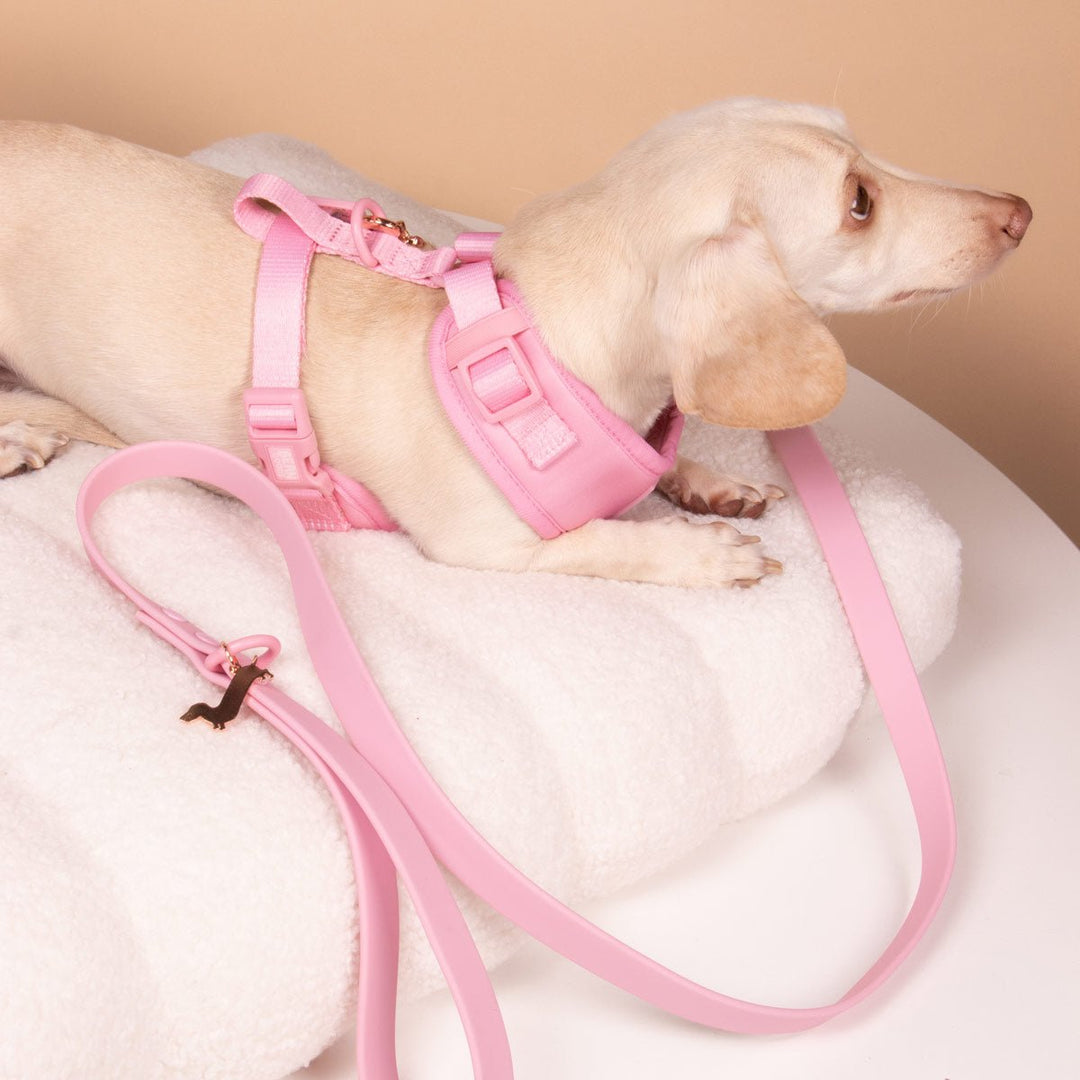 waterproof easy - clean leash - ween pink - bean goods