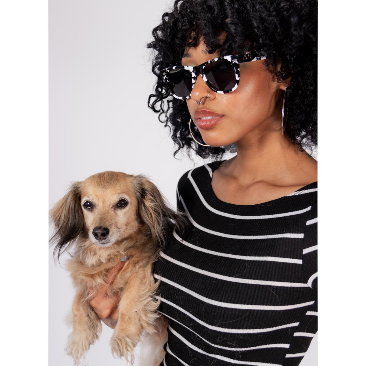 weenfarer dachsunglasses - piebald - bean goods