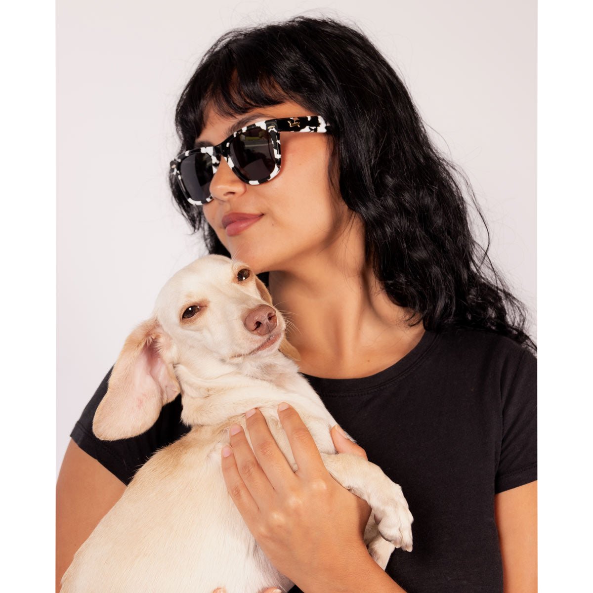 weenfarer dachsunglasses - piebald - bean goods