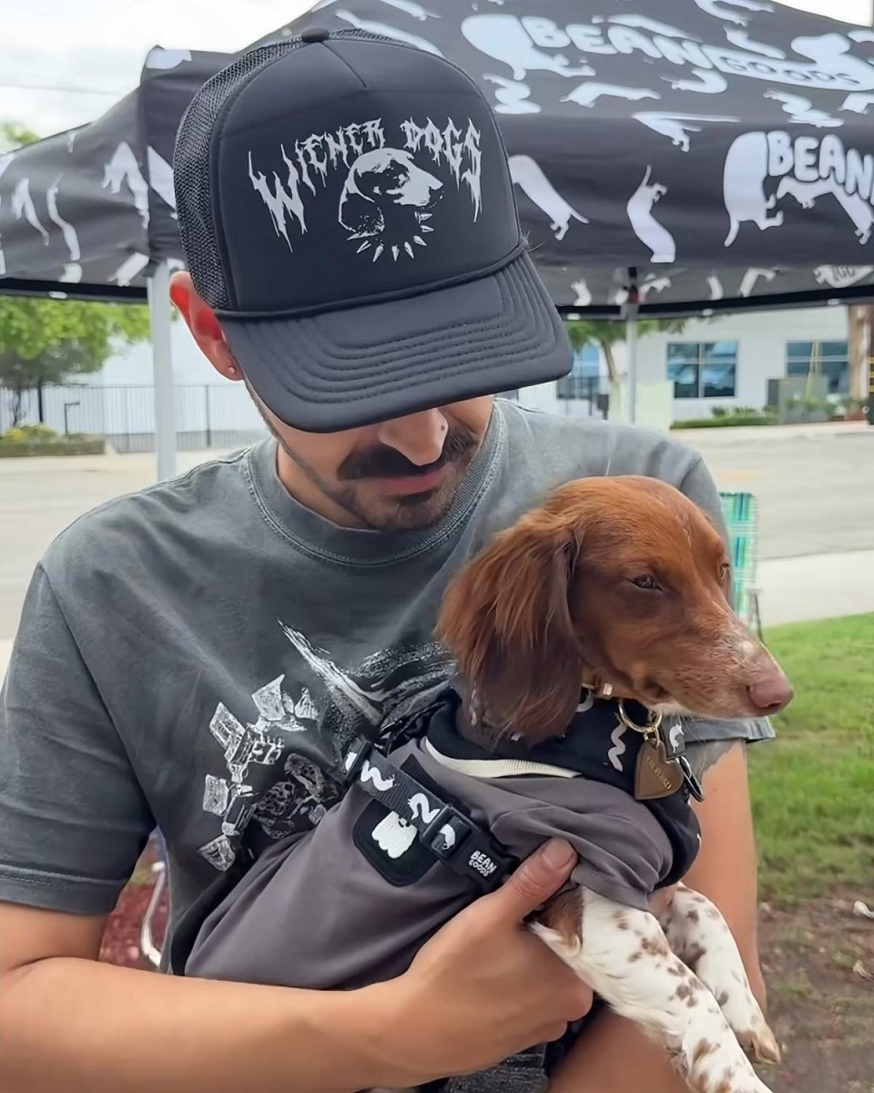 wiener dogs trucker hat - bean goods