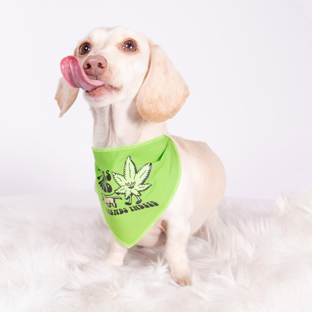 wieners & weed dog bandana - bean goods