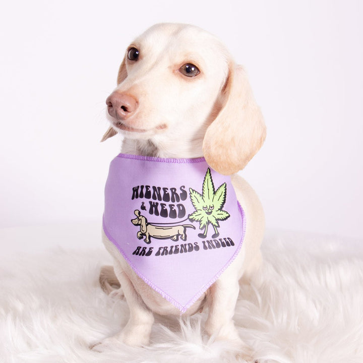 wieners & weed dog bandana - bean goods