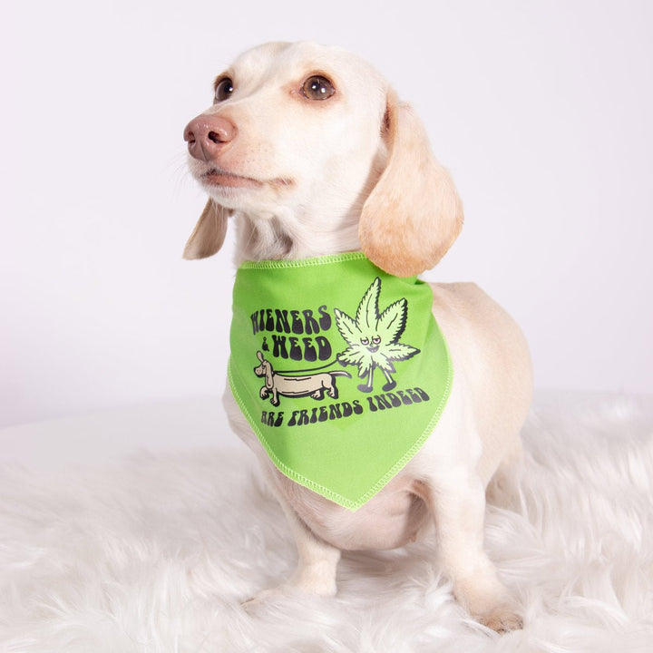 wieners & weed dog bandana - bean goods