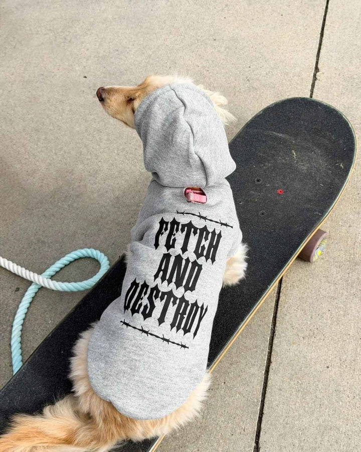 winston & willa doxie hoodies - bean goods