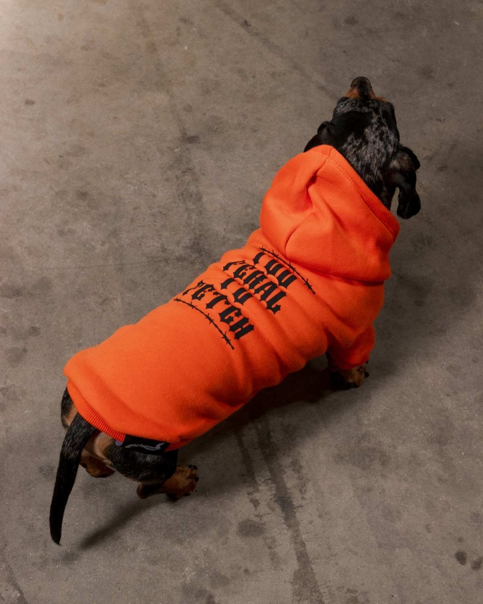 winston & willa doxie hoodies - bean goods