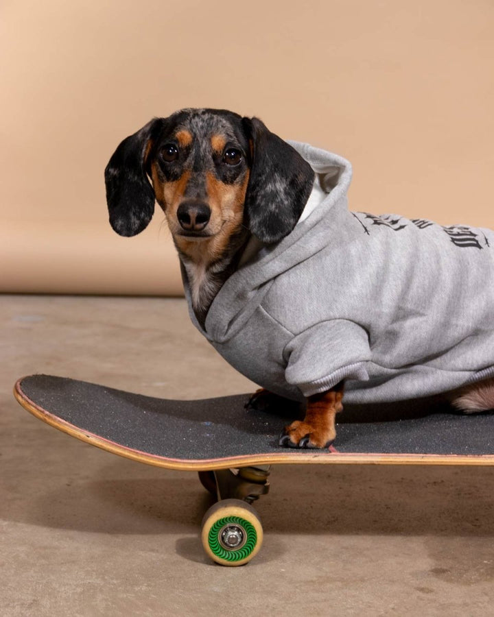 winston & willa doxie hoodies - bean goods