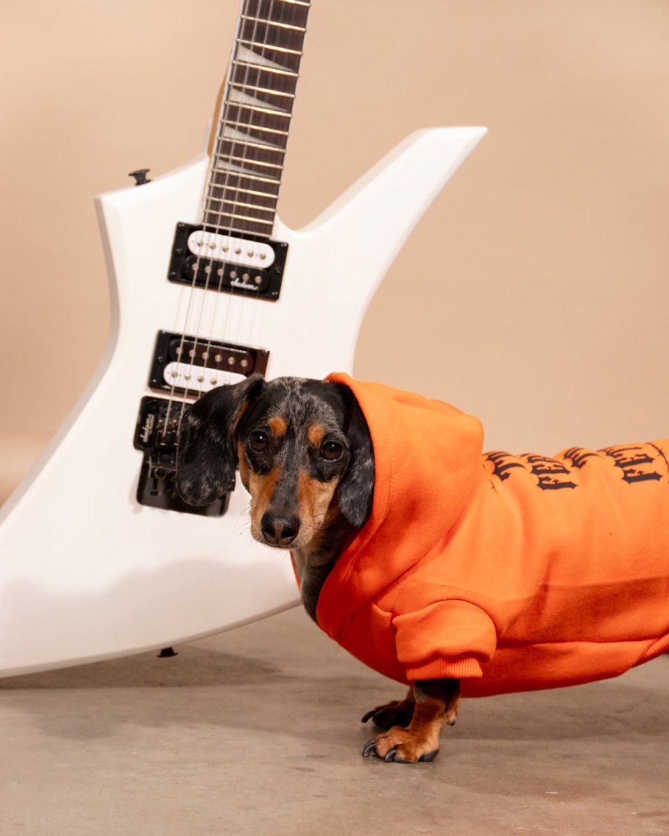 winston & willa doxie hoodies - bean goods