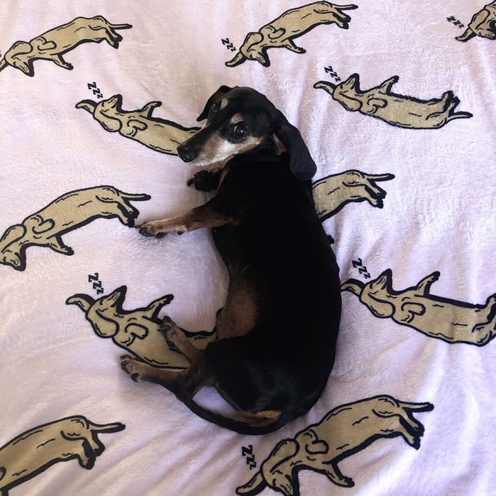 Sleeping Dachshunds Plush Blanket | BeanGoods