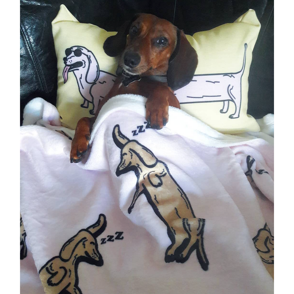 Sleeping Dachshunds Plush Blanket | BeanGoods