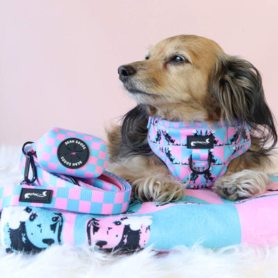 adjustable harness - pop art pups - bean goods
