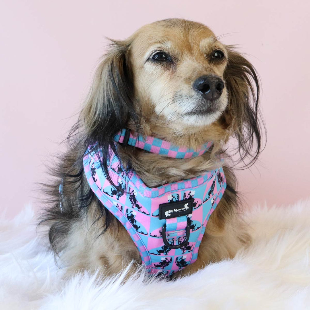 adjustable harness - pop art pups - bean goods