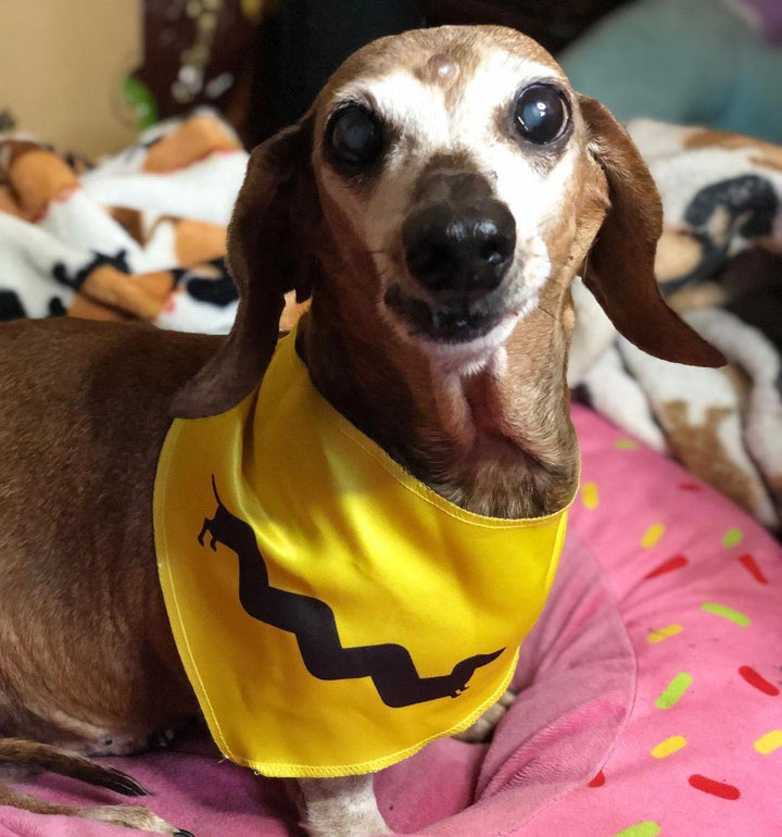 charlie ween dog bandana - bean goods