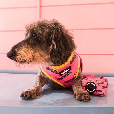 cheetah weenie reversible harness - BeanGoods