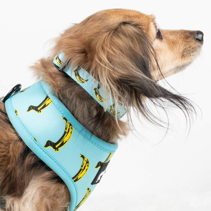 collar - banana wiener - bean goods