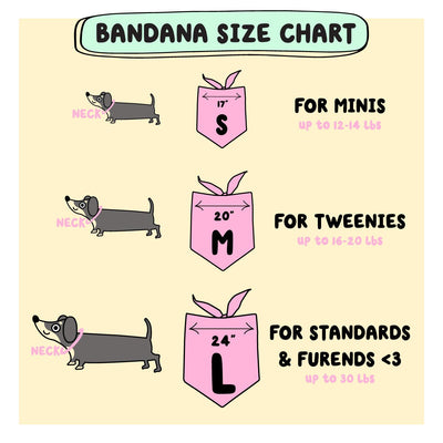 count doxula dog bandana - bean goods
