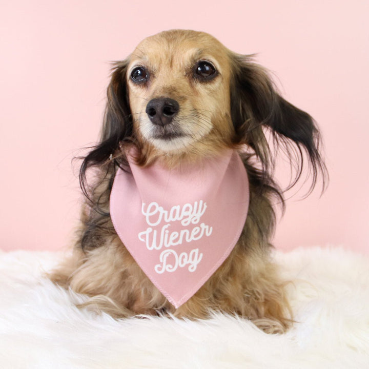 crazy wiener dog doggo bandana - bean goods