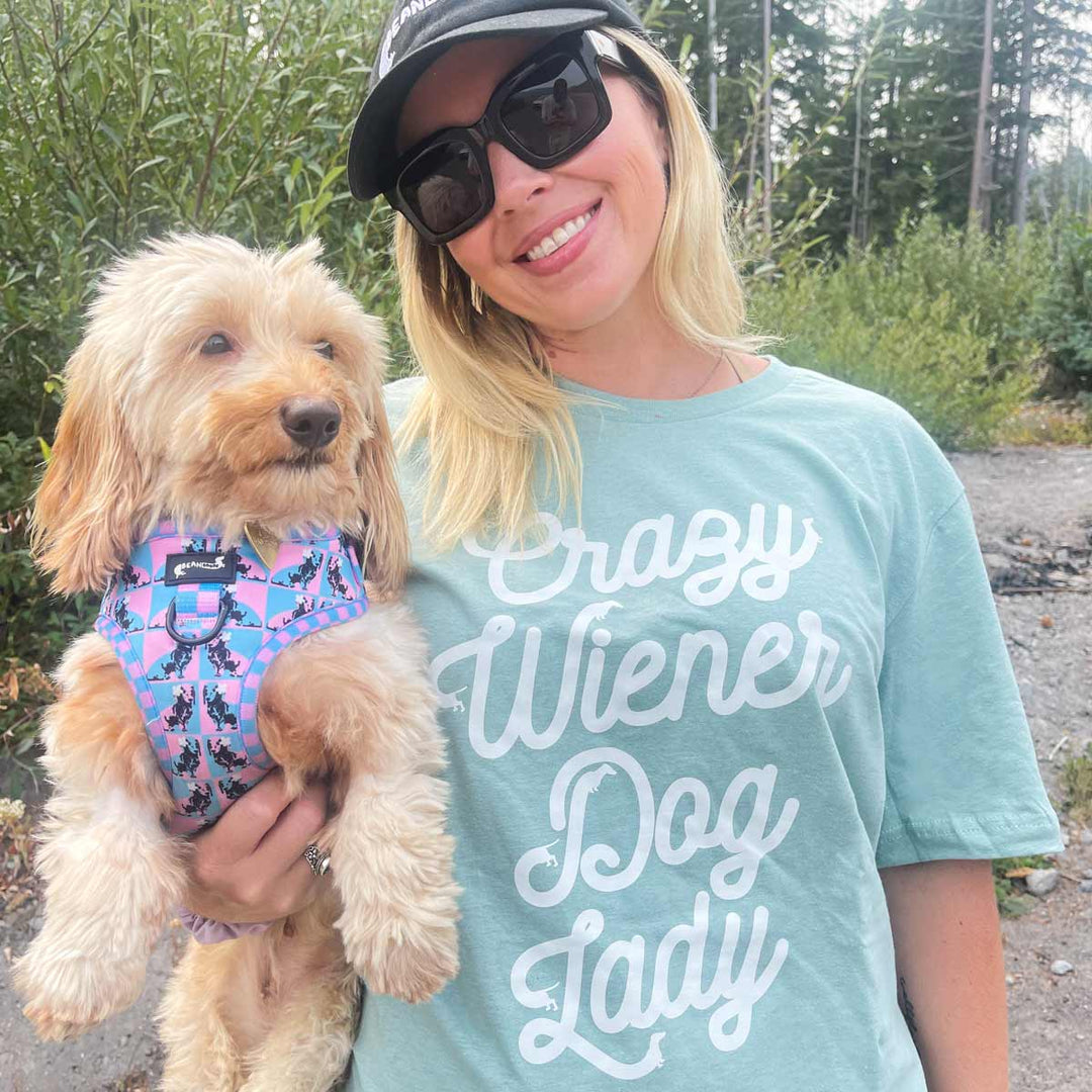 crazy wiener dog lady unisex tee | sage - bean goods