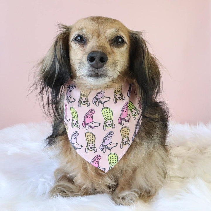 croc to my dox dog bandana - bean goods